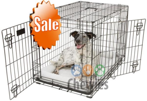 Grote foto dierenwinkel online goedkoop dierenwinkel xl dieren en toebehoren toebehoren