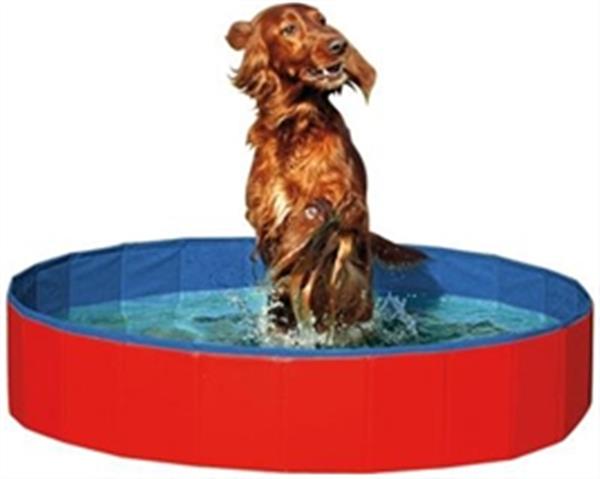 Grote foto zwembad voor uw hond hondenzwembad van 31 50 dieren en toebehoren toebehoren