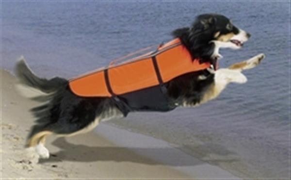 Grote foto zwembad voor uw hond hondenzwembad van 31 50 dieren en toebehoren toebehoren