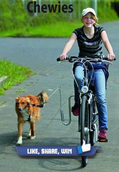 Grote foto zwembad voor uw hond hondenzwembad van 31 50 dieren en toebehoren toebehoren