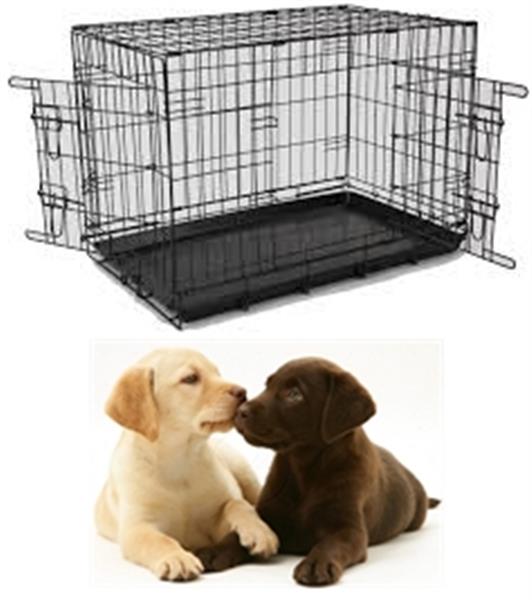 Grote foto labrador retriever hondenbench complete benchset dieren en toebehoren hondenhokken en kooien