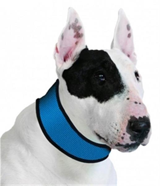 Grote foto aqua coolers koel halsband voor uw hond vanaf 6 49 dieren en toebehoren toebehoren