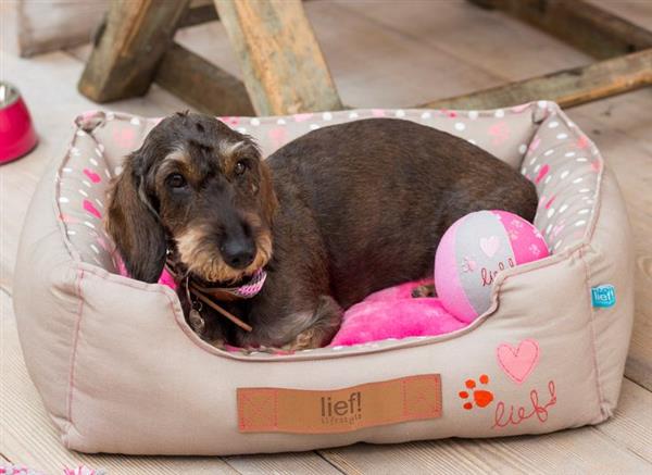 Grote foto bia bed beste waterafstotende mand voor uw hond dieren en toebehoren toebehoren