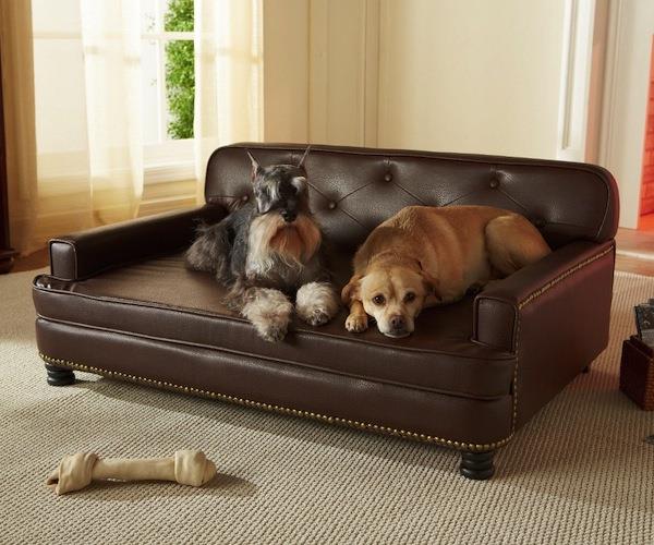 Grote foto hondensofa enchanted pets meest luxe sofa 79 99 dieren en toebehoren toebehoren