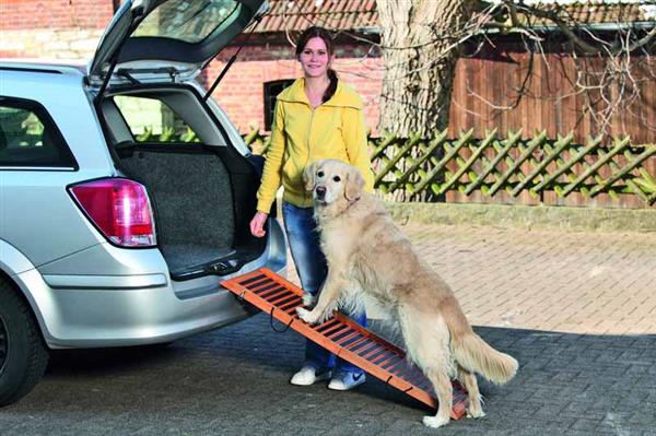 Grote foto loopplank hondenloopplank auto vanaf 44 99 akties dieren en toebehoren toebehoren