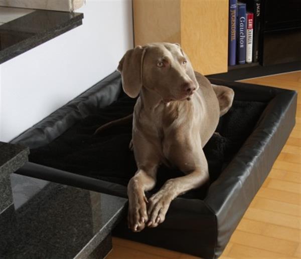 Grote foto hondenmand hondenbed bia bed origineel best bed dieren en toebehoren toebehoren