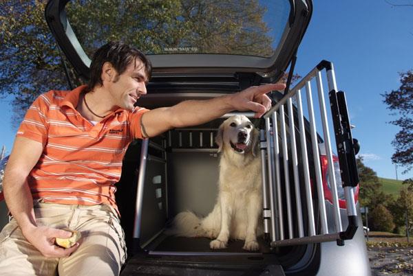 Grote foto transportbox autobench aluminium vanaf 59 99 sale dieren en toebehoren hondenhokken en kooien