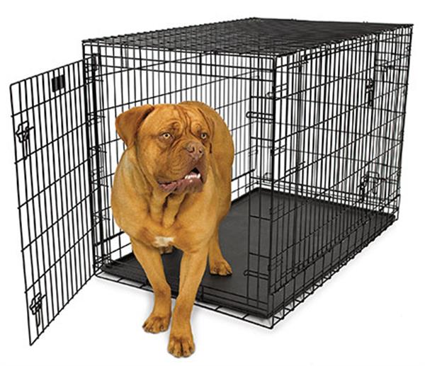 Grote foto hondenbench kennel autobench rennen laagste prijs dieren en toebehoren hondenhokken en kooien