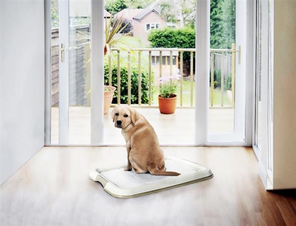 Grote foto hondenbench met uniek roldeursysteem topmerk 30 dieren en toebehoren hondenhokken en kooien