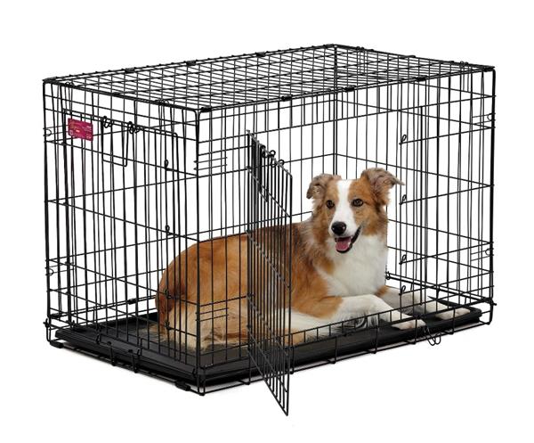 Grote foto hondenbench kennel autobench ren laagste prijs dieren en toebehoren hondenhokken en kooien