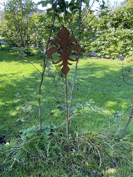 Grote foto tuinsteker franse lelie roestkleurig metaal 109 cm. tuin en terras tuindecoratie