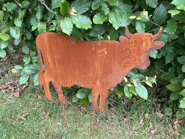 Grote foto tuinsteker koe roestig metaal sk430 tuin en terras tuindecoratie