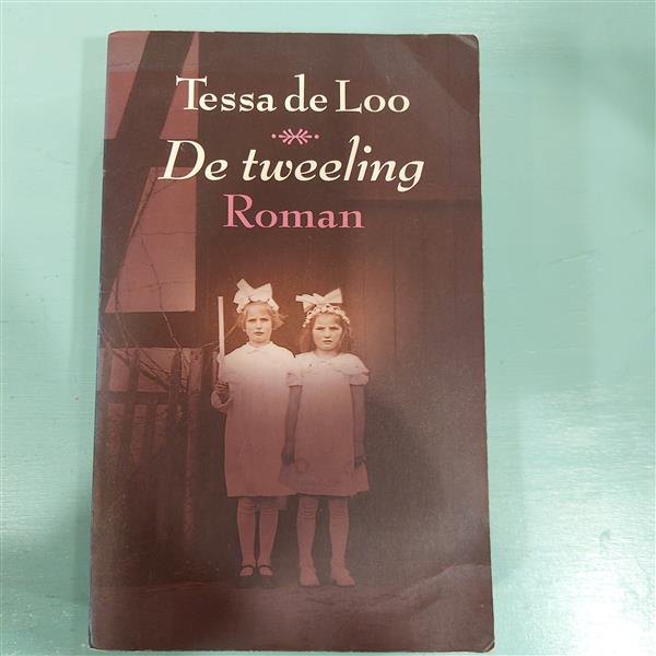 Grote foto de tweeling tessa de loo boeken overige boeken