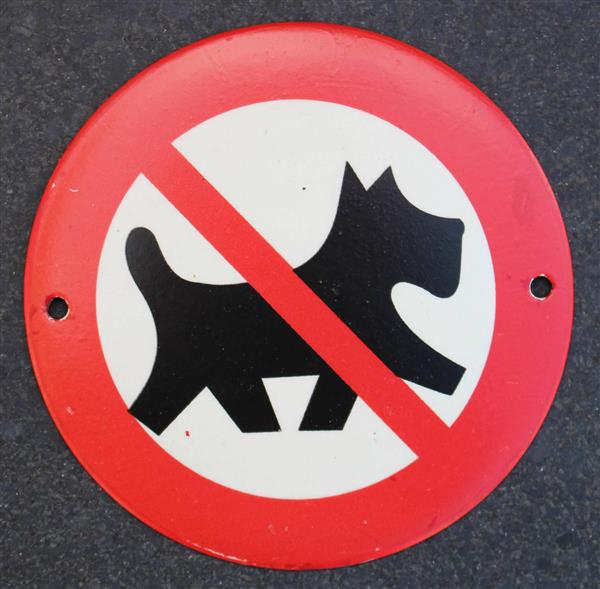 Grote foto hondenbordje verboden voor honden met rode rand hb101 verzamelen overige verzamelingen