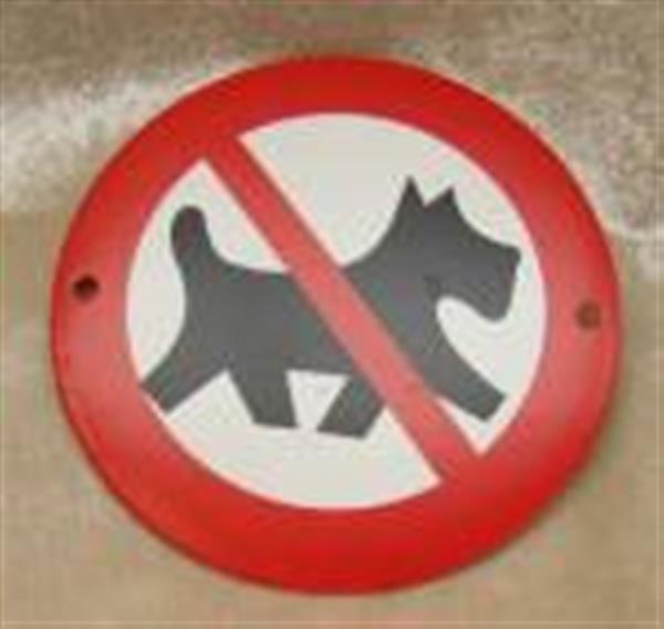 Grote foto hondenbordje verboden voor honden met rode rand hb101 verzamelen overige verzamelingen