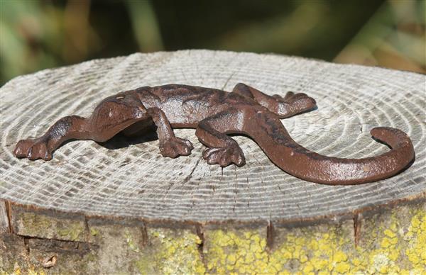 Grote foto hagedis salamander gietijzer tt158 tuin en terras tuindecoratie