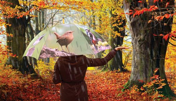 Grote foto paraplu herfst tp208 kleding dames sieraden