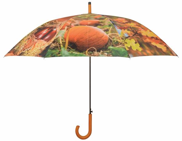 Grote foto paraplu herfst tp208 kleding dames sieraden