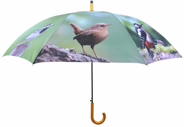 Grote foto paraplu vogels kleding dames sieraden
