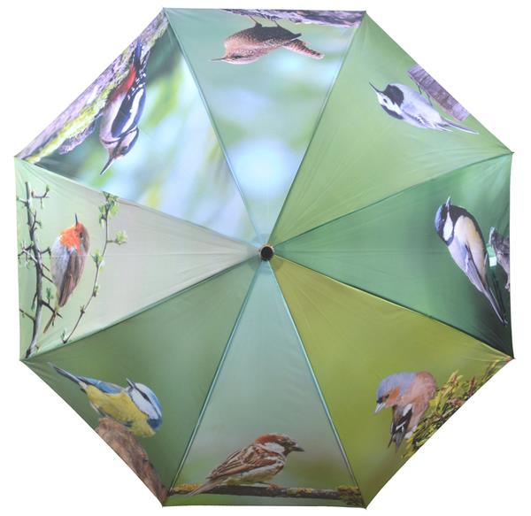 Grote foto paraplu vogels kleding dames sieraden