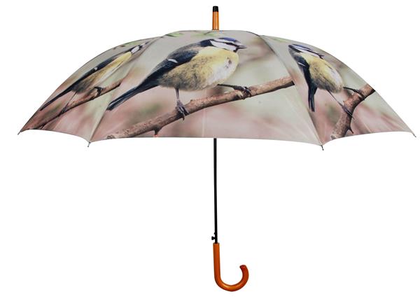 Grote foto paraplu vogel pimpelmees tp135d kleding dames sieraden