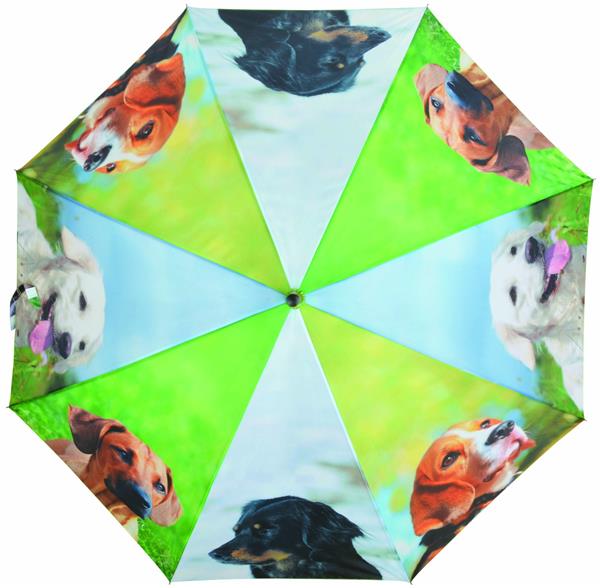 Grote foto paraplu honden kleding dames sieraden