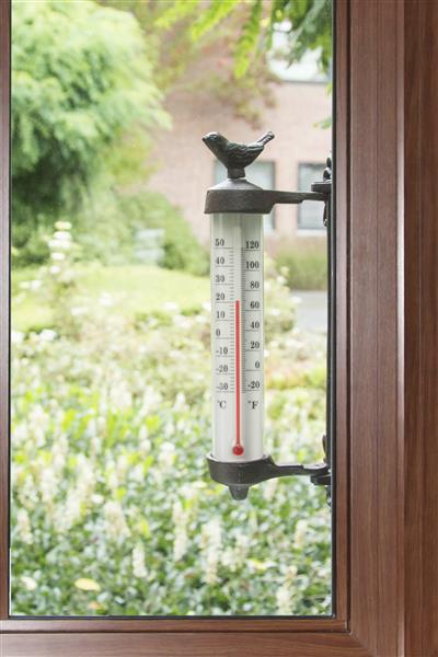 Grote foto kozijnthermometer met vogel raamthermometer br20 tuin en terras tuindecoratie