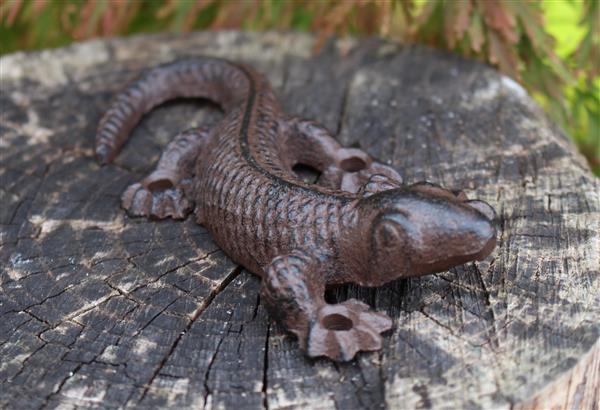 Grote foto hagedis salamander gietijzer hg320 tuin en terras tuindecoratie