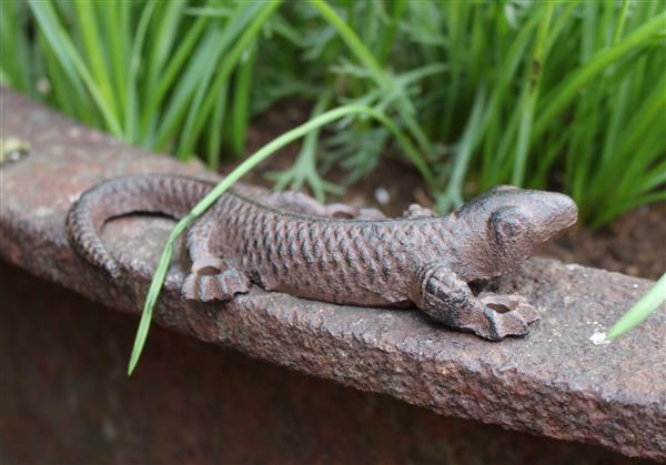 Grote foto hagedis salamander gietijzer hg320 tuin en terras tuindecoratie