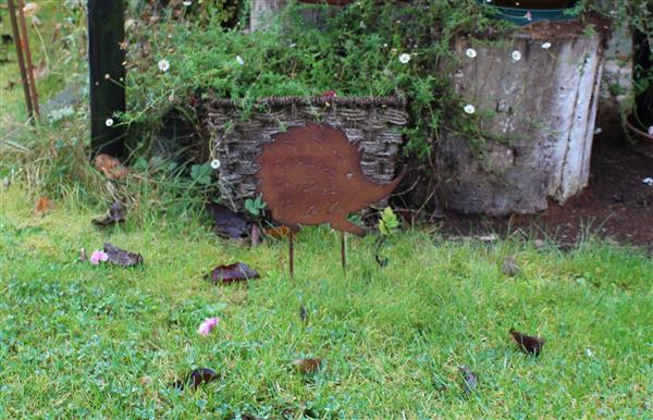 Grote foto tuinsteker egeltje stekelvarken roestkleurig metaal klein se230 tuin en terras tuindecoratie