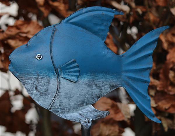 Grote foto regenmeter vis blauw grijs metaal rm130b verzamelen overige verzamelingen