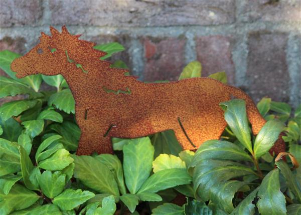 Grote foto tuinsteker paard pony roestkleurig metaal tuin en terras tuindecoratie