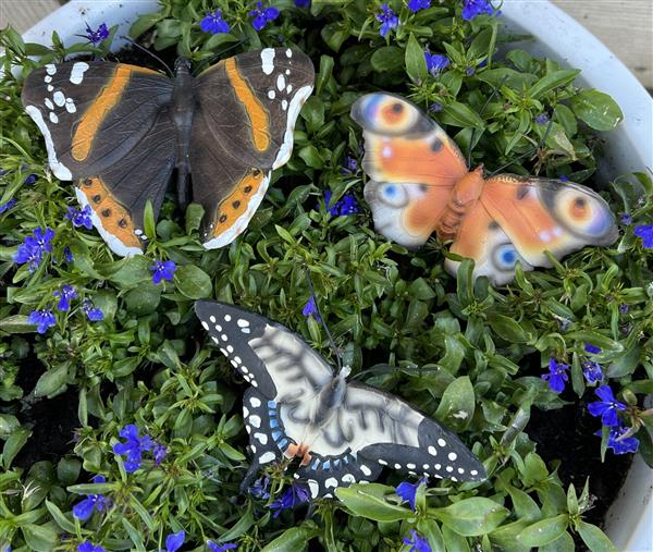 Grote foto vlinder muurvlinder polyresin oranje bruin wit verzamelen overige verzamelingen