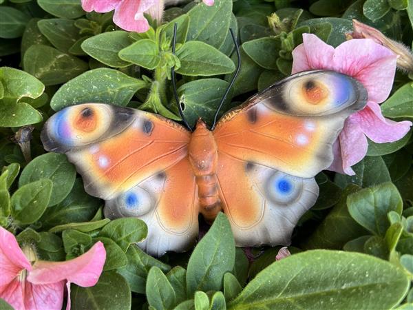 Grote foto vlinder muurvlinder polyresin oranje bruin verzamelen overige verzamelingen
