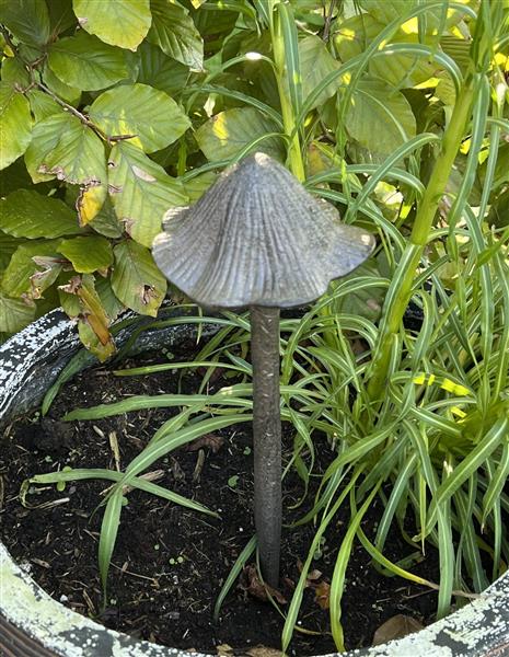 Grote foto tuinsteker paddenstoel gietijzer groot pg540b tuin en terras tuindecoratie