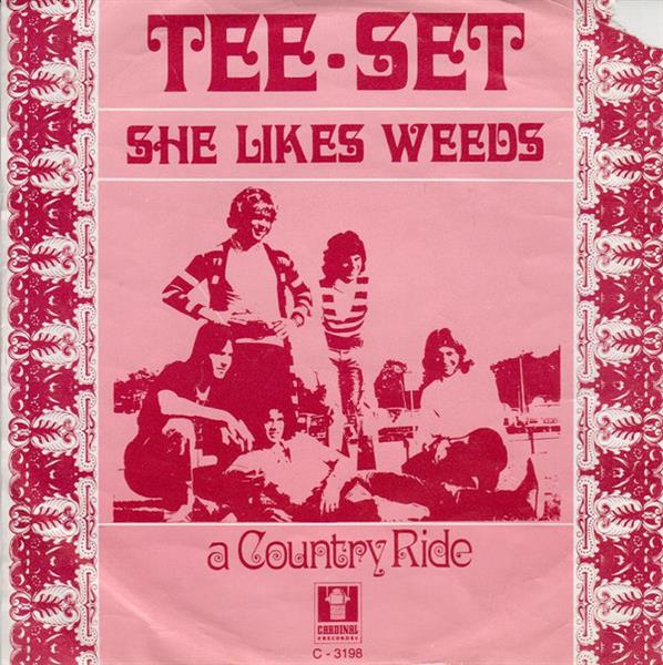 Grote foto tee set she likes weeds muziek en instrumenten platen elpees singles