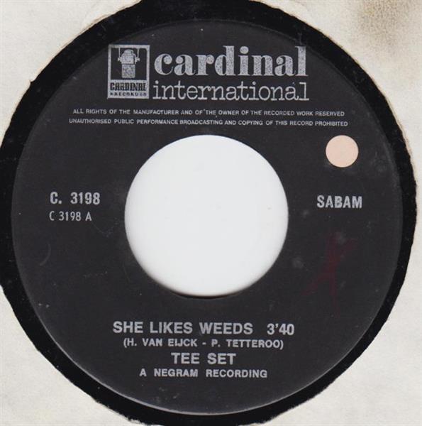 Grote foto tee set she likes weeds muziek en instrumenten platen elpees singles