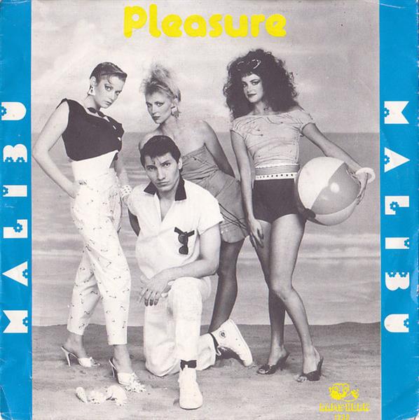 Grote foto malibu 2 pleasure muziek en instrumenten platen elpees singles