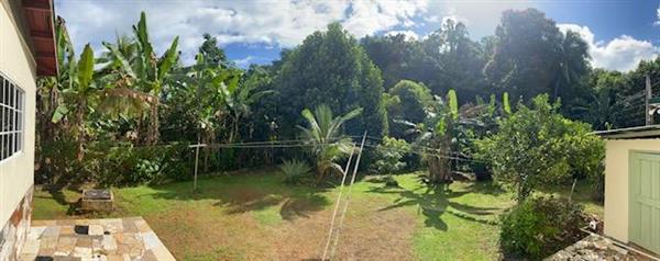 Grote foto vakantie in jamaica bij ons vakantie bed breakfasts en pensions