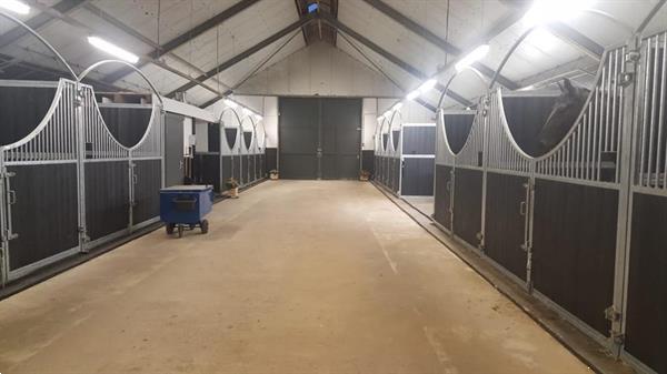 Grote foto voorwand tussenwand paardenbox wand dieren en toebehoren benodigdheden