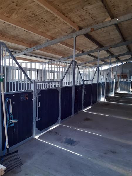 Grote foto voorwand tussenwand paardenbox wand dieren en toebehoren benodigdheden