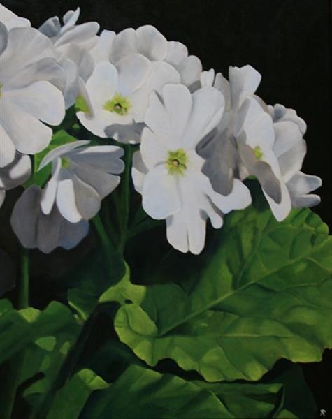 Grote foto kunsthandel gennep witte primula antiek en kunst designobjecten