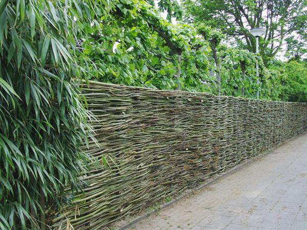 Grote foto verse wilgentenen wilgenteen wilgenschutting tuin en terras hekken en schuttingen