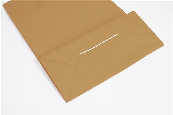 Grote foto papieren draagtas bruin met gedraaid handvat 540x500 mm zakelijke goederen overige zakelijke goederen