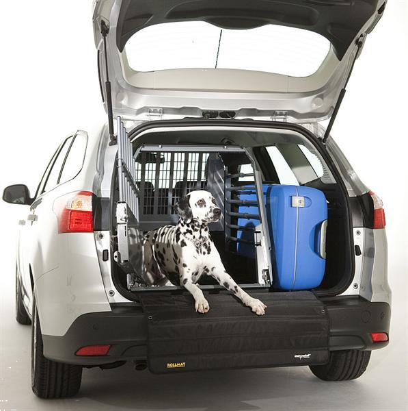 Grote foto hondentransportbox voor uw hond met kreukelzone dieren en toebehoren toebehoren