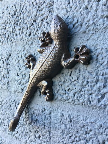 Grote foto 1 salamander hagedis gemaakt van gietijzer bruin tuin en terras tuindecoratie