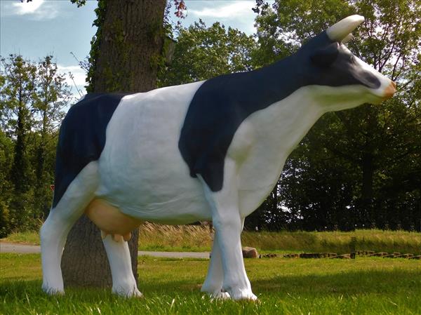 Grote foto levensgrote koe in kleur polystone beeld koe xl tuin en terras tuindecoratie