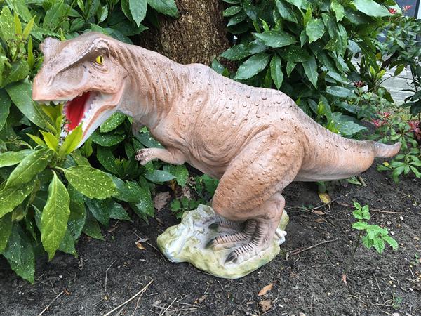 Grote foto dinosaurus prachtige beeld van een tyrannosaurus tuin en terras tuindecoratie