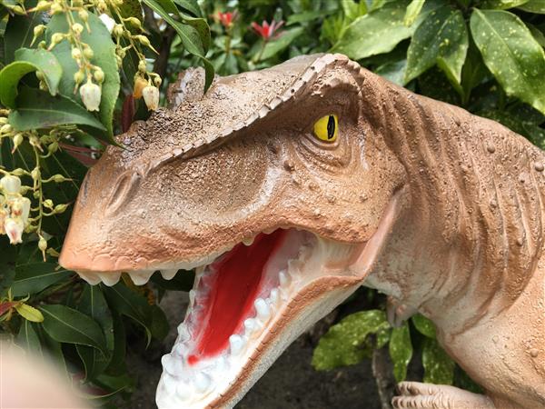 Grote foto dinosaurus prachtige beeld van een tyrannosaurus tuin en terras tuindecoratie