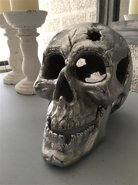 Grote foto grote anatomische schedel gietijzer chrome nikkel tuin en terras tuindecoratie